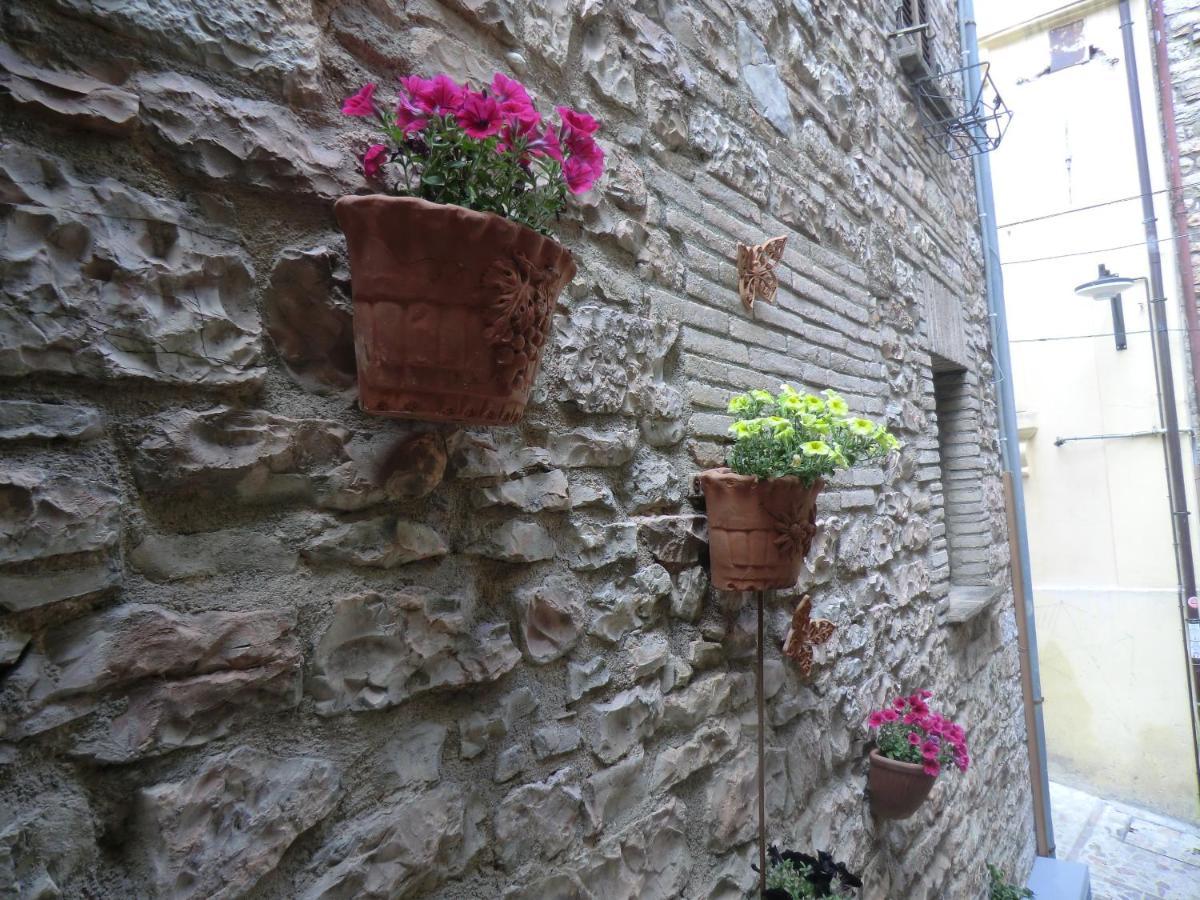 La Corta Di Spello Camere Eksteriør billede