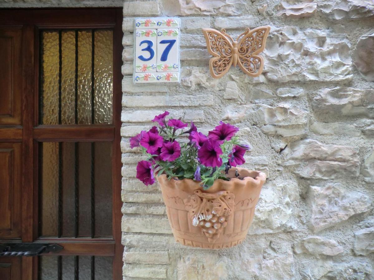 La Corta Di Spello Camere Eksteriør billede