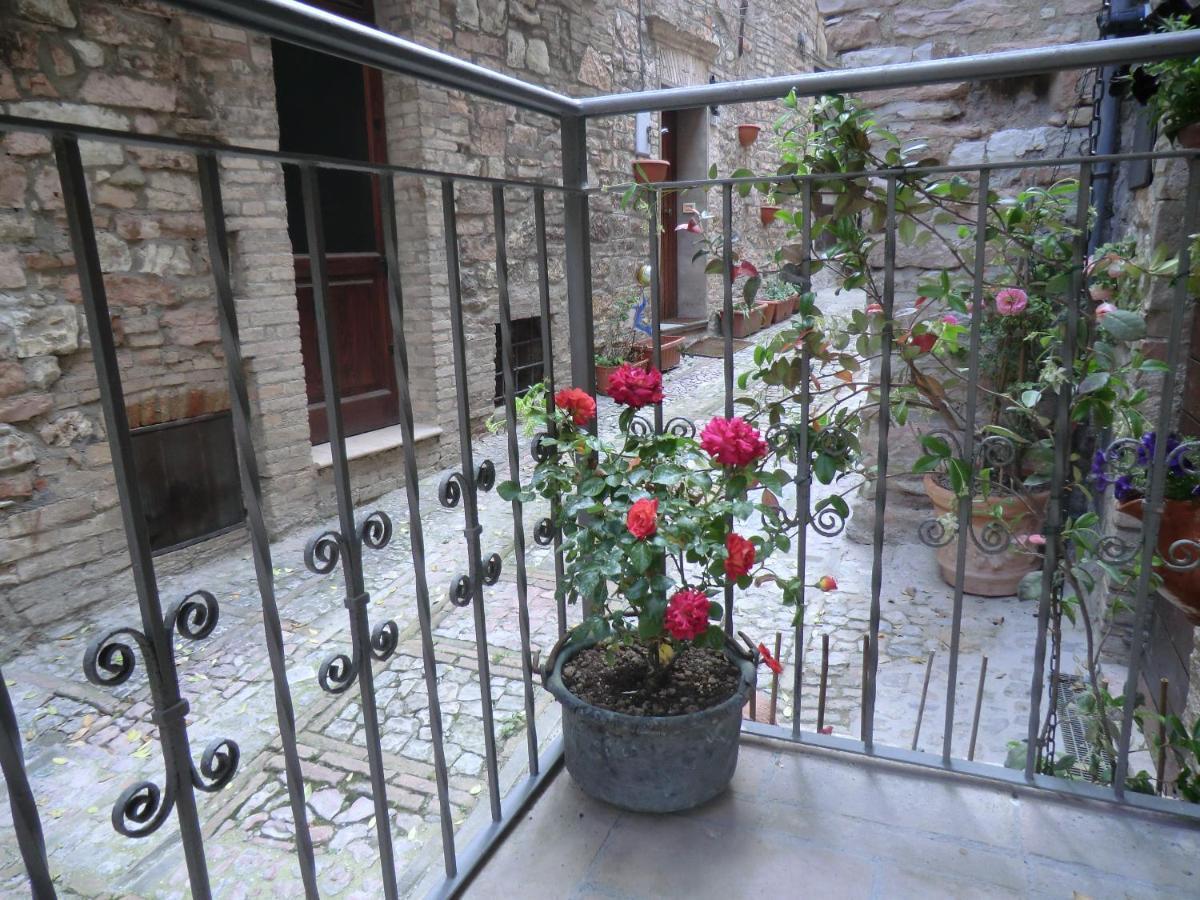 La Corta Di Spello Camere Eksteriør billede